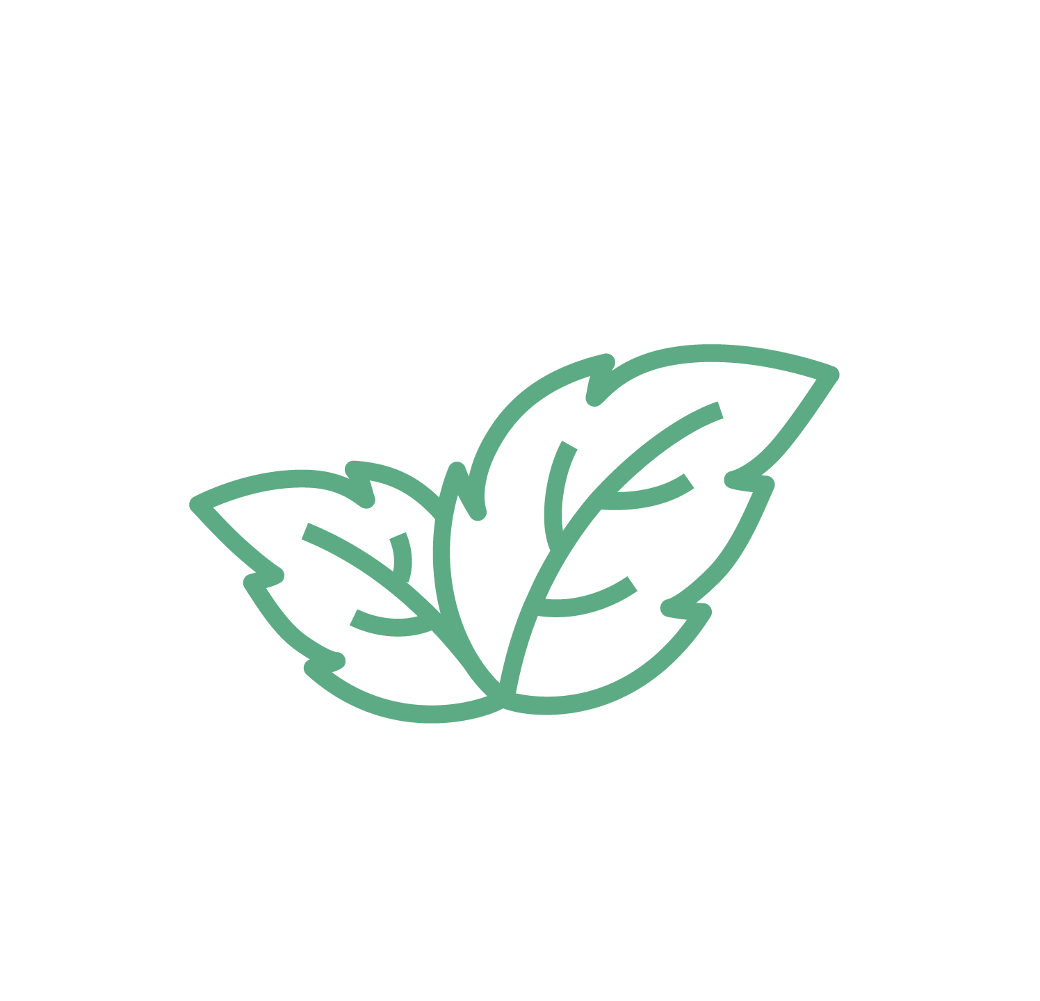 Aceite de Menta Piperita