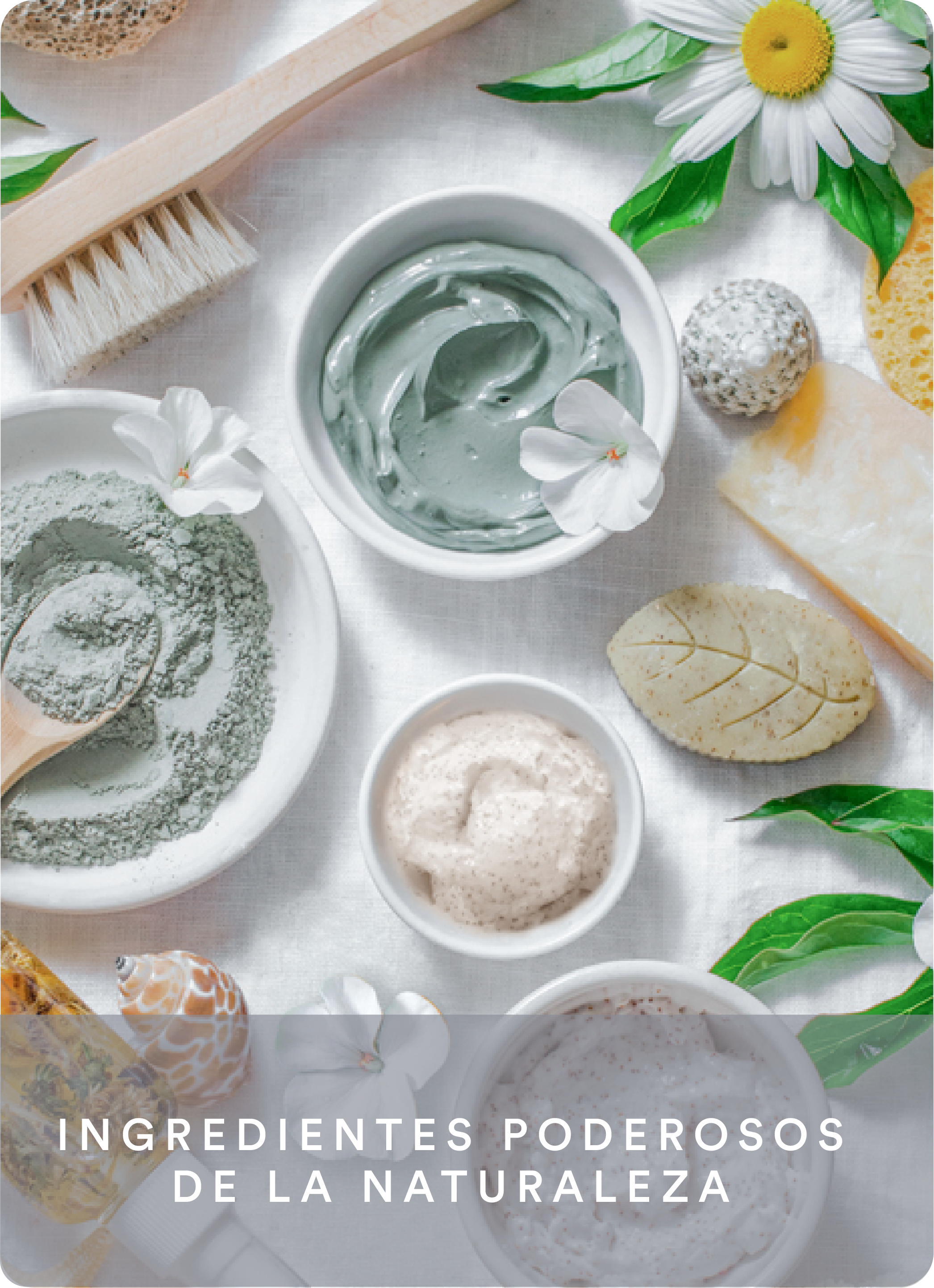 Ingredientes Poderosos Naturales